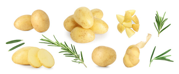 Fresh raw potatoes and rosemary on white background, collage