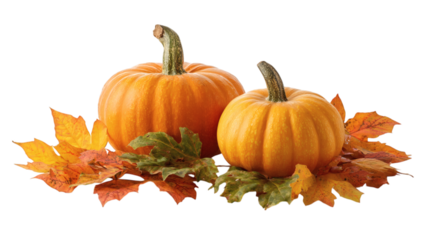 Autumn pumpkins with colorful leaves isolated on tranparent background 