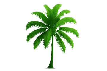 Obraz premium Realistic 3d rendering of a single green palm tree isolated on transparent background, perfect for travel or tropical-themed projects