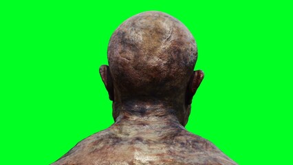 Zombie green screen . 3d rendering.