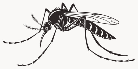 Silhouette illustration of a mosquito in lateral position, its main anatomy is the head with prominent antennae and proboscis, a large thorax, and six slender legs and a pair of transparent wings.