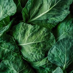 Fototapeta premium closeup of collard greens with broad leaves and rich green color, macro Southern vegetable photography, soft natural light