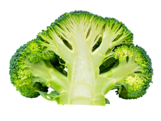 Close up of a fresh broccoli cross section isolated on transparent background
