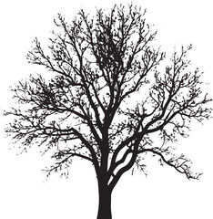 Obraz premium A single bare black vector tree silhouette with branches, isolated on a white background, perfect for any season or landscape illustration