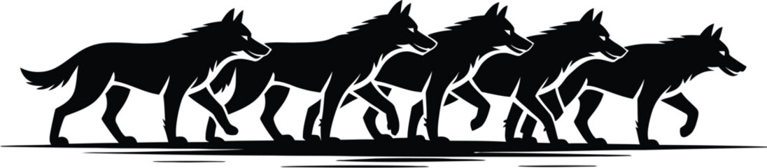 Five wolves walking in unison pack animals