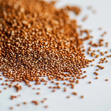 closeup of teff grains spread over white surface fine brown seeds macro whole grain photography soft lighting