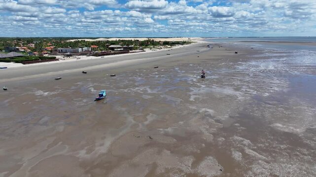 Flight Of The Guaras At Araioses In Maranhao Brazil. Wildlife Landscape. Parnaiba Delta Waterfront. Maranhao Brazil. Sea Birds Animals. Flight Of The Guaras At Araioses In Maranhao. Parnaiba Delta.