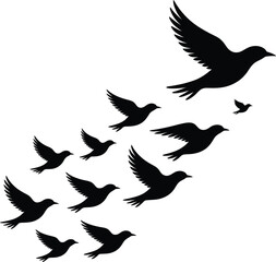 Obraz premium Flock of birds in flight flying silhouette