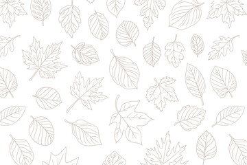 Delicate outline drawing presents a beautiful autumn leaves background pattern with a seamless, elegant design against a white surface.