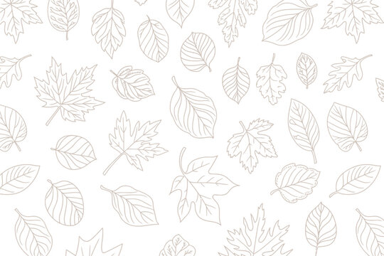 Delicate outline drawing presents a beautiful autumn leaves background pattern with a seamless, elegant design against a white surface.