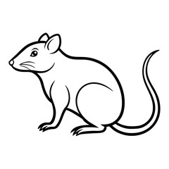 vector illustration of a squirrel