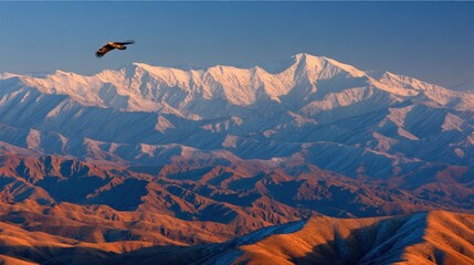 Majestic mountains with a soaring bird