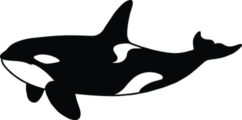 Orca whale silhouette vector illustration, killer whale graphic, ocean marine animal, aquatic wildlife icon, black and white sea creature art.