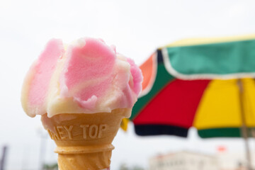 ［秋田県　夏の名物］ババヘラアイス