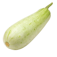 bottle gourd vegetable transparent