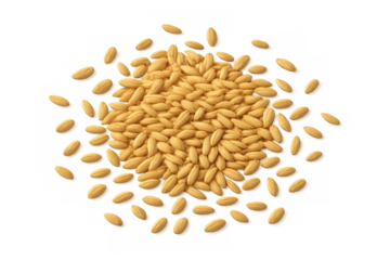 Rice grains arranging circular pattern, showcasing symmetrical alignment against crisp transparent backdrop