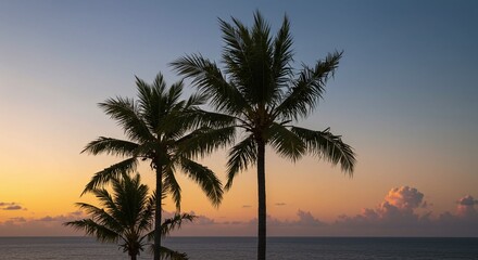 Tropical Palm Trees Silhouetted Against Sunset Sky Over Ocean