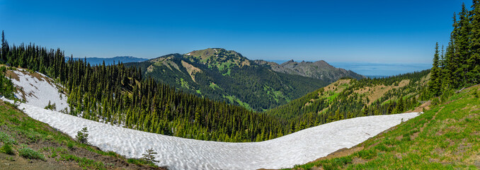 Hurricane Ridge, Olympic Park, Washington