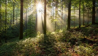 experience the enchanting beauty of a sunlit forest with rays piercing through leaves in a serene and magical atmosphere