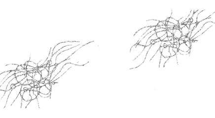 Shiny glittering Png Foil Frame Silver glitter splatter and shiny swirl. Foil Silver stroke metallic luxury spot on PNG transparent background. Postcard wedding design. Luxury premium design template.