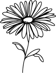 Fototapeta premium Simple one-line drawing of a blooming daisy flower with detailed petals and thin stem, clean black stroke on plain white.