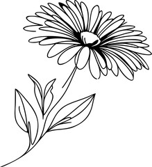 Simple one-line drawing of a blooming daisy flower with detailed petals and thin stem, clean black stroke on plain white.