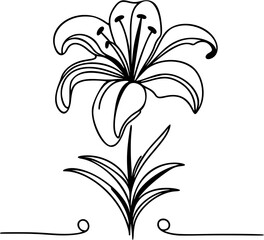 Continuous single-line vector drawing of a blooming lily flowe