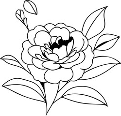 One-line drawing of a camellia bloom with gentle curves, centered composition in vector style.
