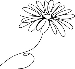 Single continuous line illustration of a daisy flower with thin petals and curved stem, simple and elegant.

