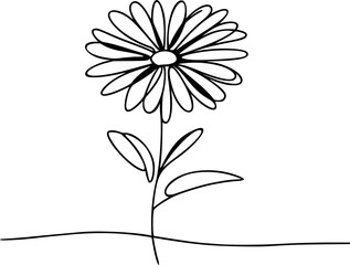 Single continuous line illustration of a daisy flower with thin petals and curved stem, simple and elegant.
