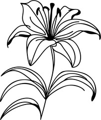 Continuous line art of a blooming lily with pointed petals and long elegant stem, black vector on white.
