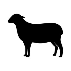 Silhouette of a sheep standing against a white background for design needs