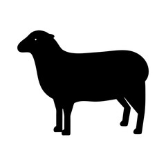 Simple flat black silhouette of a sheep standing on a white background