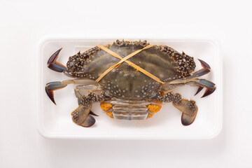 ［北海道産］ワタリガニ　子持ち