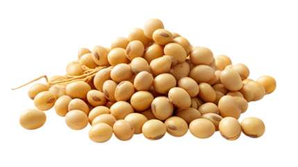 Heap of raw soybeans, isolated on tranparent background 