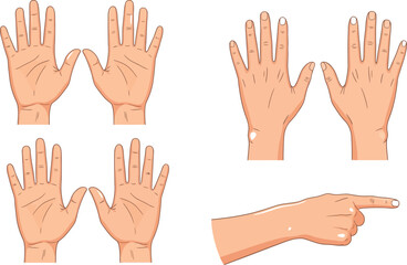 Obraz premium Illustration depicting four pairs of open hands and one pointing hand on white
