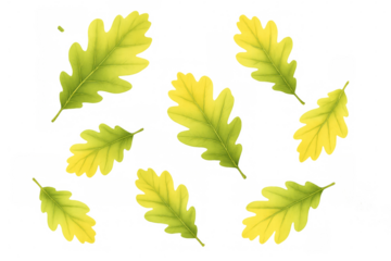 Green and yellow oak leaves falling against a transparent background, creating a serene autumnal scene