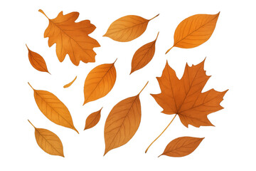 Naklejka premium Realistic orange autumn leaves falling on a transparent background, perfect for seasonal designs