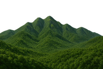 Naklejka premium Dense evergreen woodland blanketing rugged mountain peaks, isolated on transparent backdrop for seamless design composition