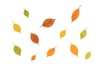 Obraz premium Realistic colorful autumn leaves falling on a transparent background, perfect for fall-themed designs