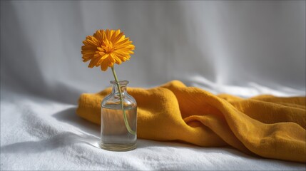 Sunflower-yellow accent throw on white linen sheets golden-hour rim light from right top-down diffuser fill for balanced shadows