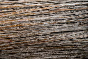 Fototapeta premium Detail of brown textured wood skin surface.