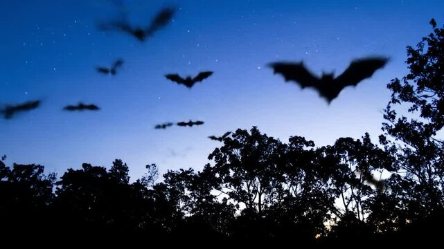 Bats fly over trees in a dark blue starry sky