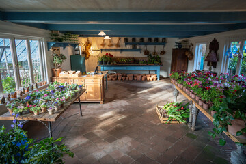 Assorted pelargonium types displayed in private botanical store selling plants, potting mix, and...