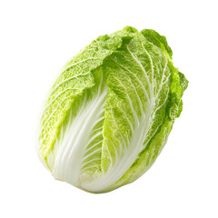 Fototapeta premium Fresh Napa Cabbage Isolated on Transparent Background