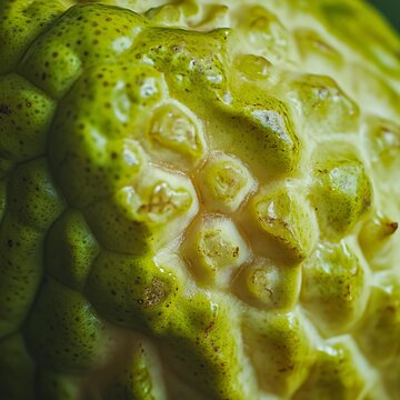 generate a closeup of a cherimoya with natural lighting and trending seo optimized