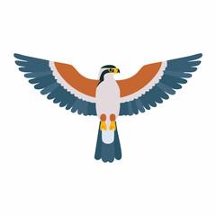Colorful Illustration of a Soaring Falcon in Flight