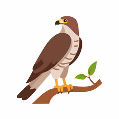 Cartoon Illustration of a Perched Hawk with Brown Plumage and Yellow Feet