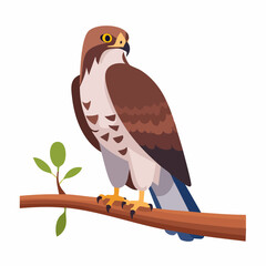 Majestic Hawk Perched on Branch, Observing with Intense Yellow Eyes