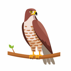 Majestic Hawk Perched on Branch, Observing with Focused Intensity.